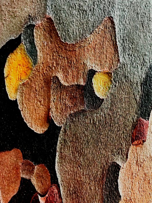 Detail-Makroaufnahme einer Platanen-Rinde in Farbe, aufgenommen von Thomas Pfister