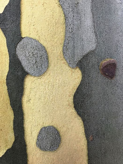 Detail-Makroaufnahme einer Platanen-Rinde in Farbe, aufgenommen von Thomas Pfister