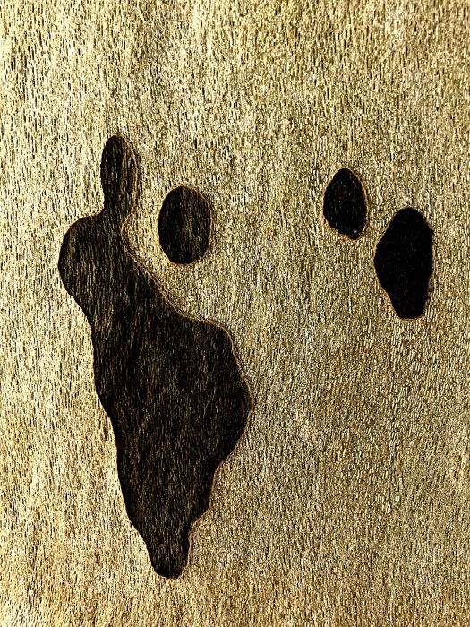 Detail-Makroaufnahme einer Platanen-Rinde in Farbe, aufgenommen von Thomas Pfister