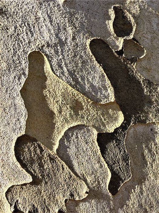 Detail-Makroaufnahme einer Platanen-Rinde in Farbe, aufgenommen von Thomas Pfister