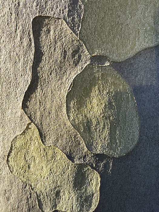 Detail-Makroaufnahme einer Platanen-Rinde in Farbe, aufgenommen von Thomas Pfister