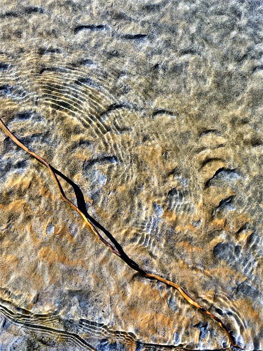 Rippelmarken an der Grenze zwischen Wasser, Sand und Ufer am Lago di Mezzola in Farbe, aufgenommen von Thomas Pfister