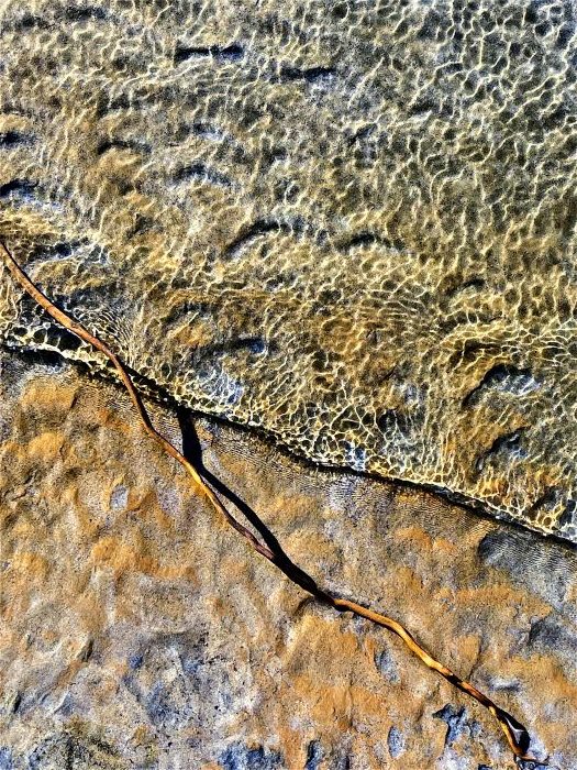 Rippelmarken an der Grenze zwischen Wasser, Sand und Ufer am Lago di Mezzola in Farbe, aufgenommen von Thomas Pfister