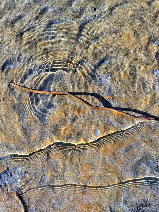 Rippelmarken an der Grenze zwischen Wasser, Sand und Ufer am Lago di Mezzola in Farbe, aufgenommen von Thomas Pfister