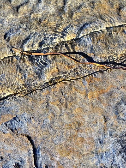 Rippelmarken an der Grenze zwischen Wasser, Sand und Ufer am Lago di Mezzola in Farbe, aufgenommen von Thomas Pfister