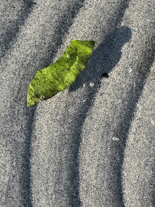 Rippelmarken an der Grenze zwischen Wasser, Sand und Ufer am Lago di Mezzola in Farbe, aufgenommen von Thomas Pfister