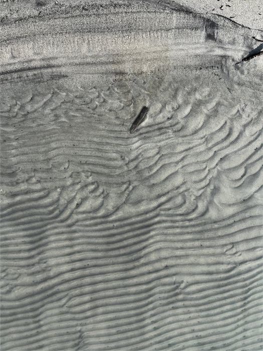 Rippelmarken an der Grenze zwischen Wasser, Sand und Ufer am Lago di Mezzola in Farbe, aufgenommen von Thomas Pfister