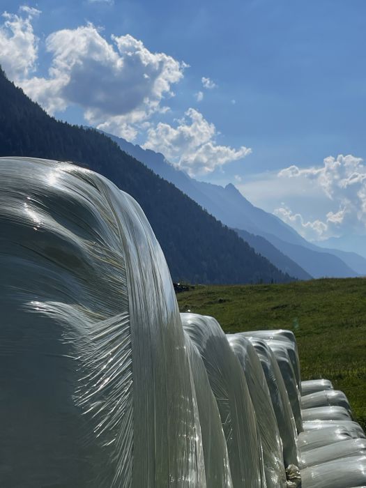 Nahaufnahme von angeordneten, hellgrünen Siloballen mit Reflektionen des Sonnenlichts, aufgenommen von Thomas Pfister