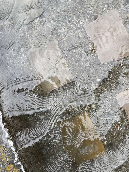 Nahaufnahme in wassergefüllten Steintrog mit Urnenplaquetten, Fotografie Thomas Pfister