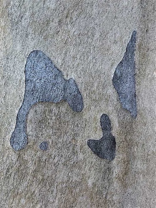 Detail-Makroaufnahme einer Platanen-Rinde in Farbe, Fotografie Thomas Pfister