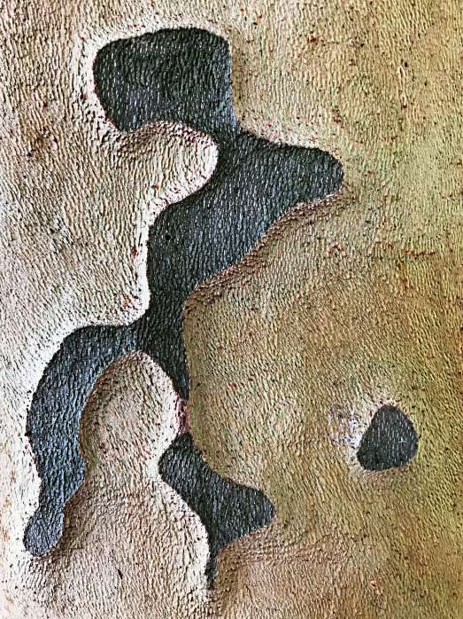 Detail-Makroaufnahme einer Platanen-Rinde in Farbe, Fotografie Thomas Pfister