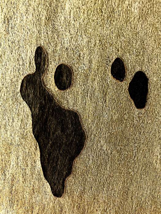 Detailreiche Makroaufnahme der Rinde einer Platane in sepia, Fotografie Thomas Pfister