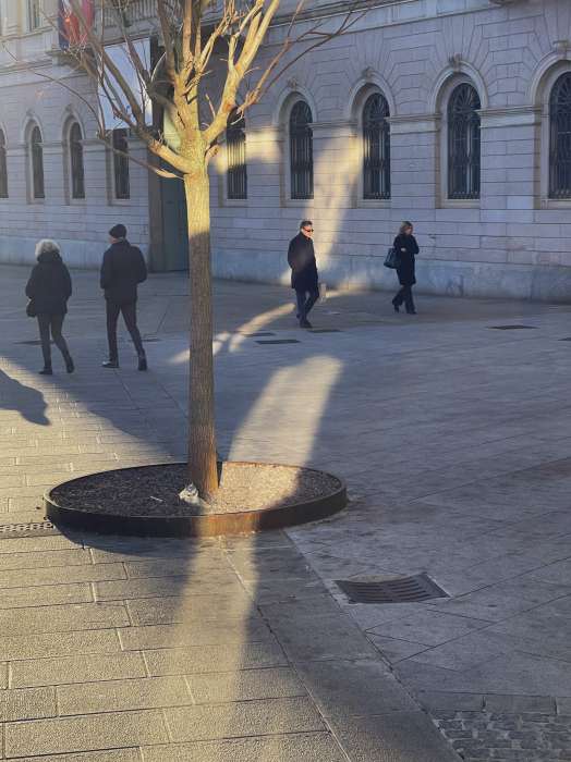Licht- und Schattenspiel mit Menschen und Baum, Fotografie Thomas Pfister