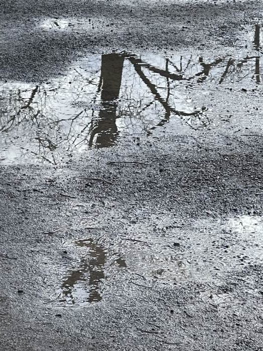 Spiegelungen in Wasserlache, Fotografie Thomas Pfister