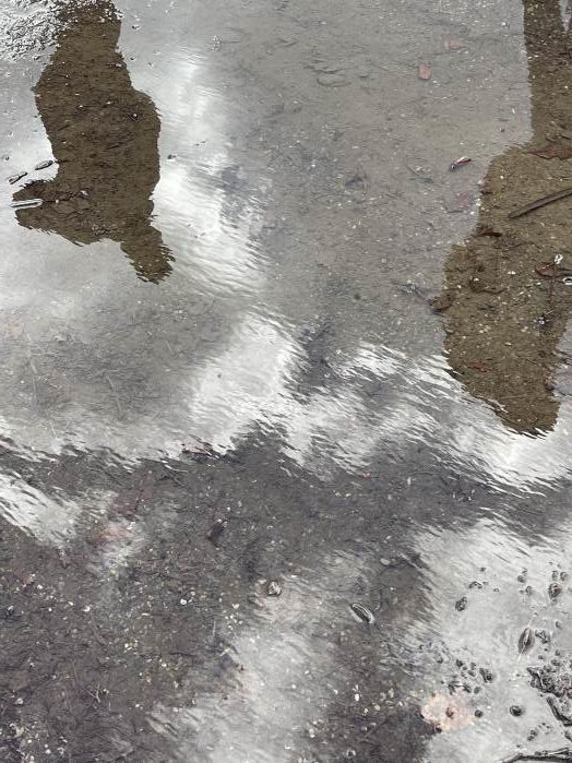 Spiegelungen in Wasserlache, Fotografie Thomas Pfister