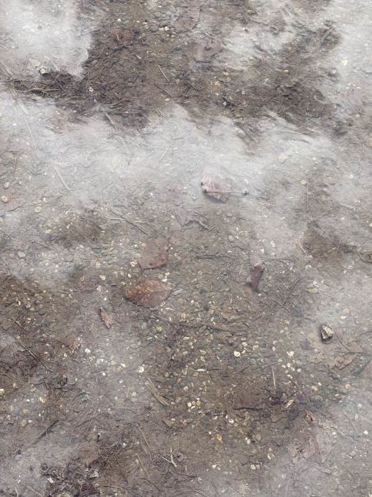 Spiegelungen in Wasserlache, Fotografie Thomas Pfister