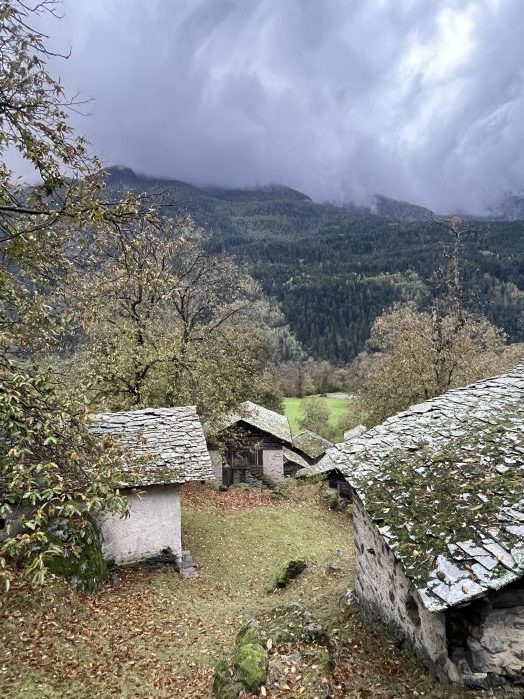 Cascine aus Naturstein, Baumstämmen mit Granitdach, Kastanienbäume, Fotografie Thomas Pfister