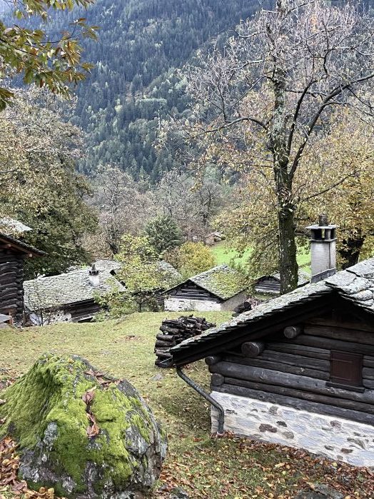 Cascine aus Naturstein, Baumstämmen mit Granitdach, Kastanienbäume, Fotografie Thomas Pfister