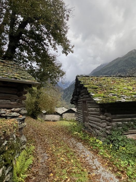 Cascine aus Naturstein, Baumstämmen mit Granitdach, Kastanienbäume, Fotografie Thomas Pfister