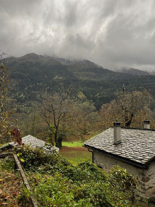 Cascine aus Naturstein, Baumstämmen mit Granitdach, Kastanienbäume, Fotografie Thomas Pfister