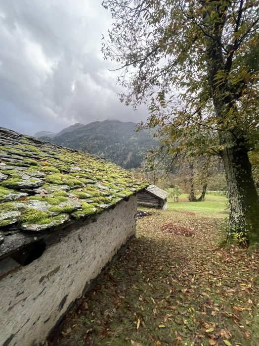 Cascine aus Naturstein, Baumstämmen mit Granitdach, Kastanienbäume, Fotografie Thomas Pfister