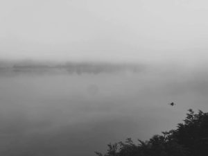 Morgennebel mit einem einsamen Fischerboot auf dem Lac de Malbuisson, Fotografie von Thomas Pfister